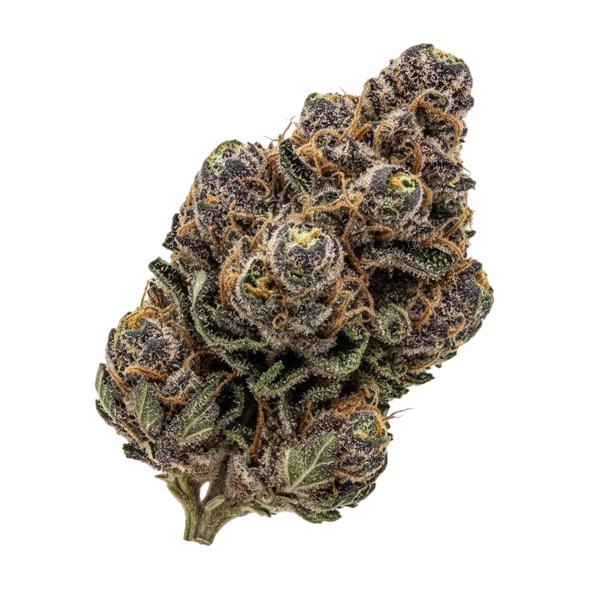 KI-generierte Illustration einer Cannabisblüte, zeigt nicht die tatsächliche Charge – Siggis Feature No. 1 22/1 "Maple Sour"