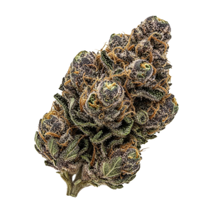 Siggis Feature No. 1 22/1 "Maple Sour"