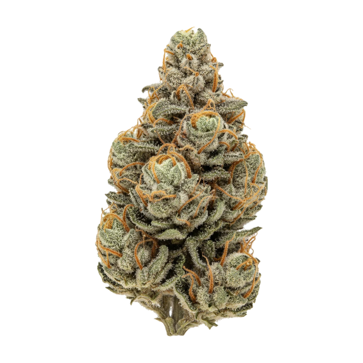 KI-generierte Illustration einer Cannabisblüte, zeigt nicht die tatsächliche Charge – Luana 24/1 Sour "Sour Sundae"