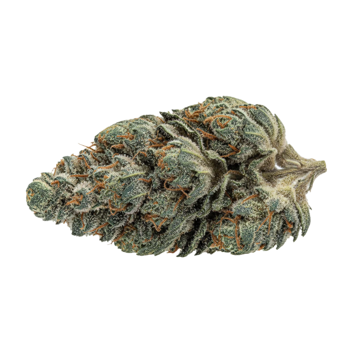 KI-generierte Illustration einer Cannabisblüte, zeigt nicht die tatsächliche Charge – Luana Bunatic "Donny B"