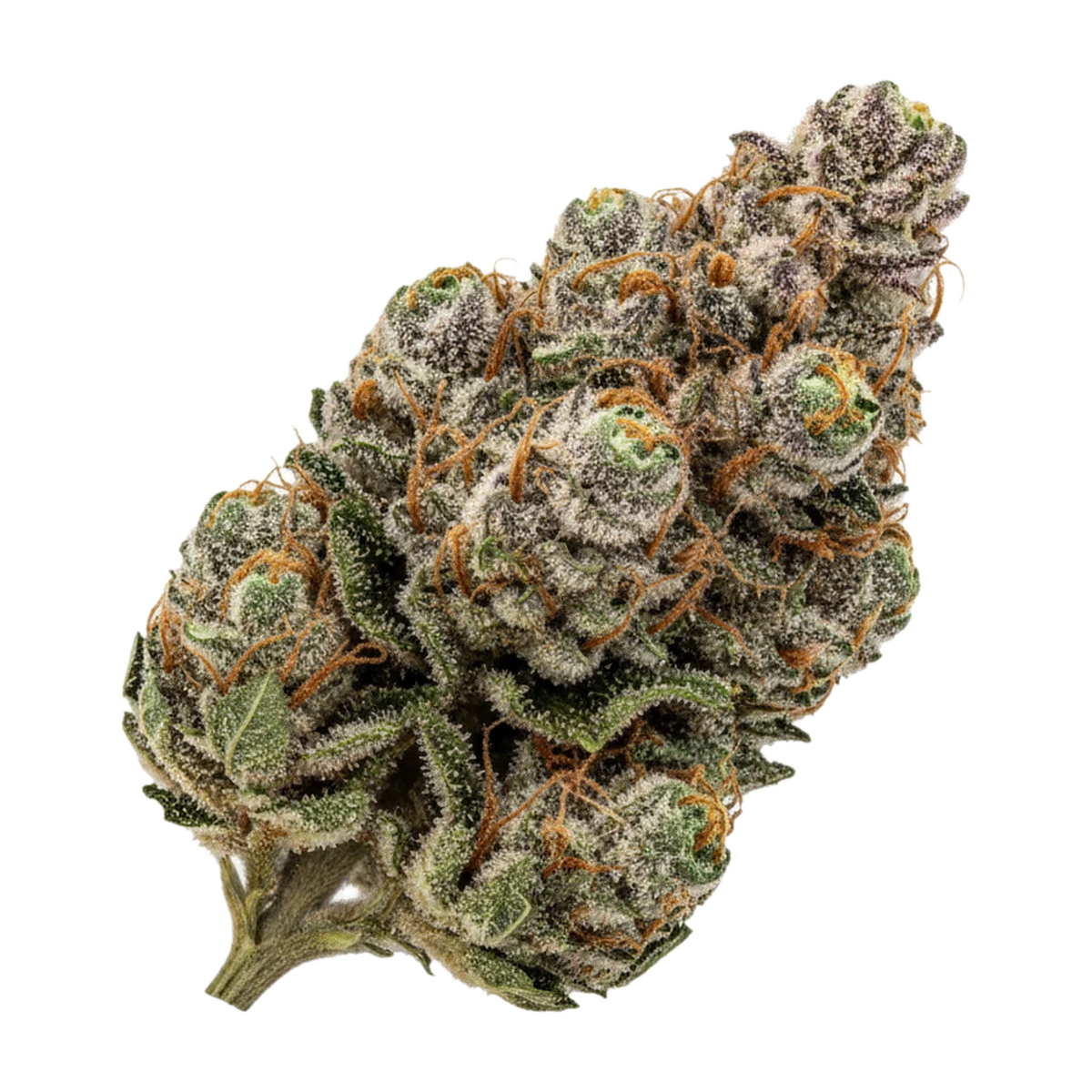 KI-generierte Illustration einer Cannabisblüte, zeigt nicht die tatsächliche Charge – Mediprocan African Ruby 30/1 BCP "Black Cherry Punch"
