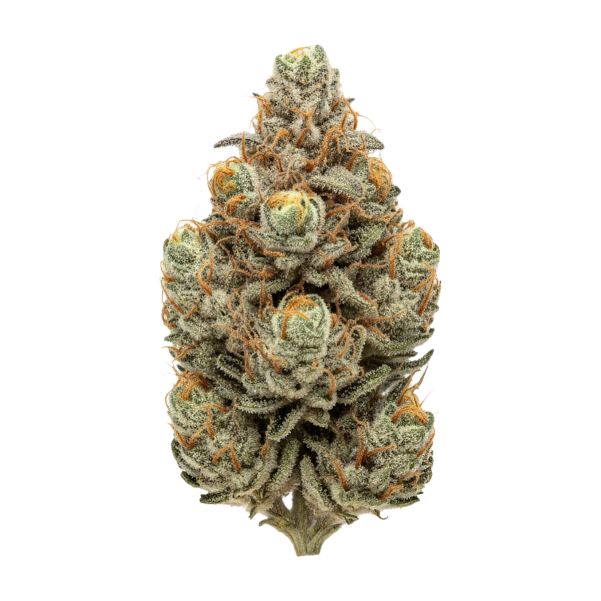 KI-generierte Illustration einer Cannabisblüte, zeigt nicht die tatsächliche Charge – Mother 28/1 B8 CAN "Beta 808"