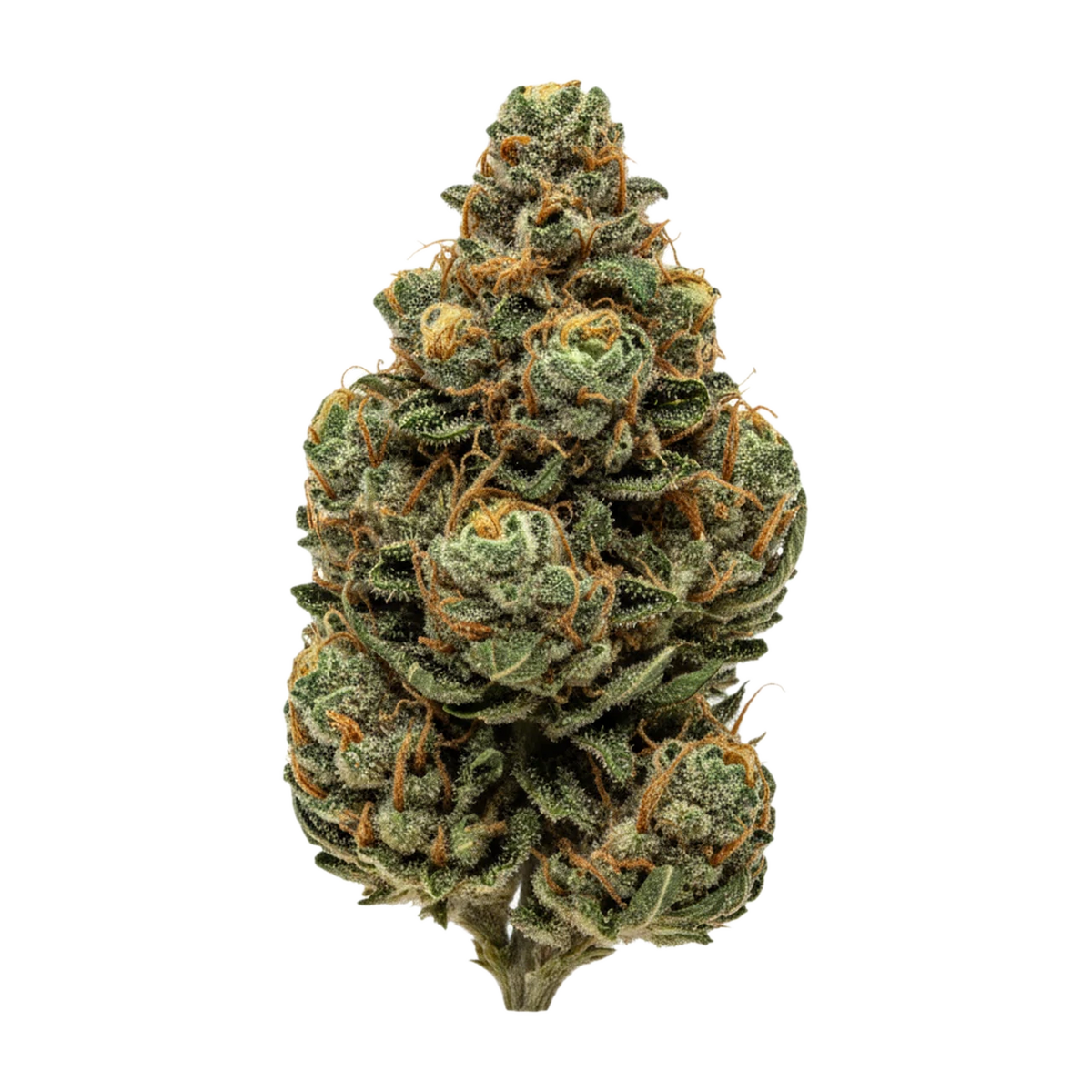 KI-generierte Illustration einer Cannabisblüte, zeigt nicht die tatsächliche Charge – Nice 27/1 "Cocoa Bomba"