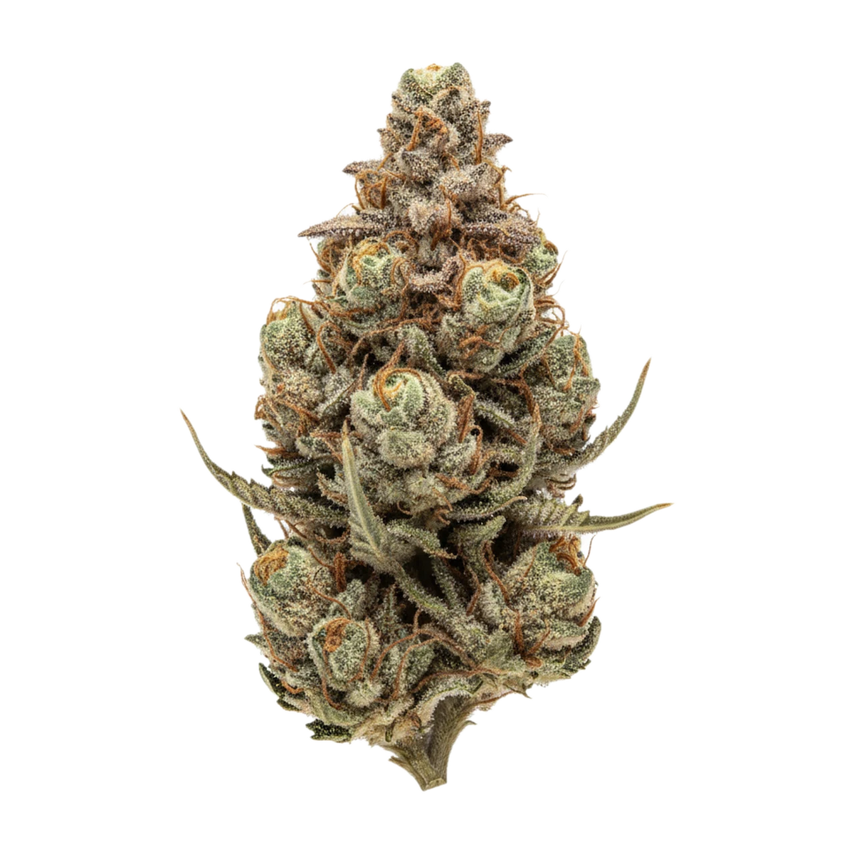 KI-generierte Illustration einer Cannabisblüte, zeigt nicht die tatsächliche Charge – DEMECAN PS MIDI 25/1 "Midnight Diner"