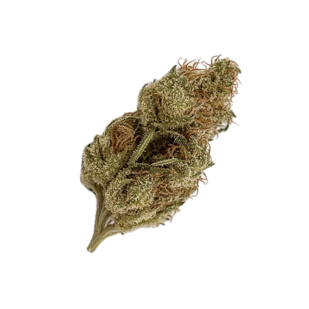 420 Natural 20/1 GG4 "Gorilla Glue"