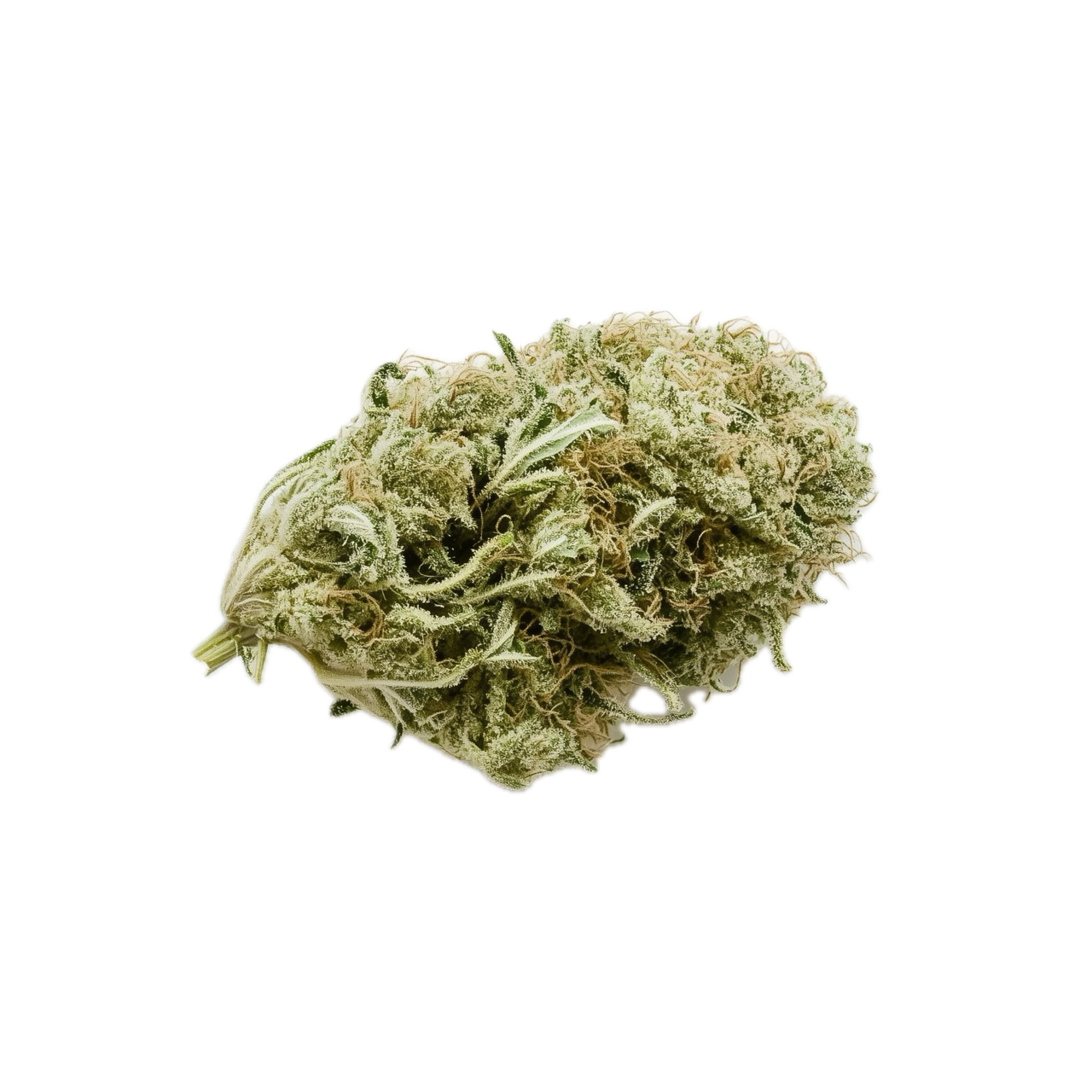 420 Evolution 27/1 ICC "Ice Cream Cake"