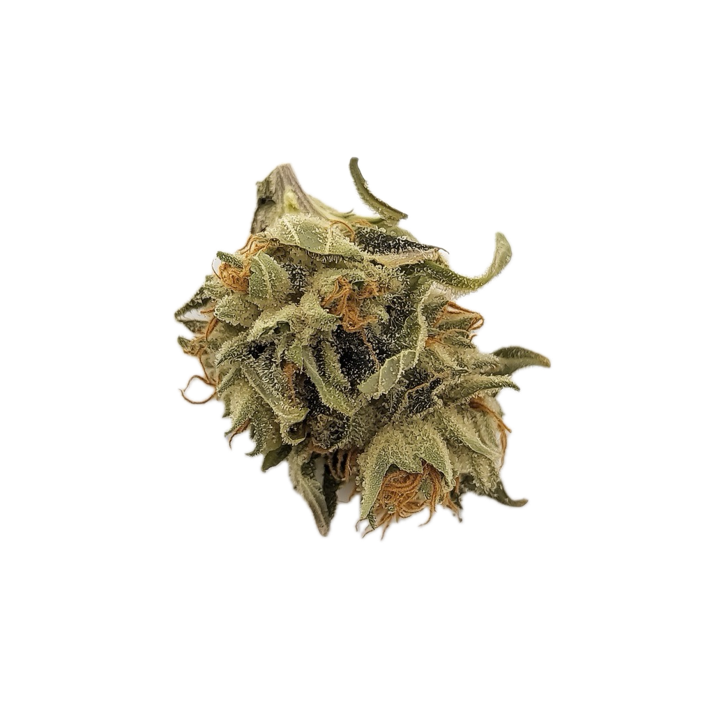 Weeco Duke 24/1 "Purple Rain"