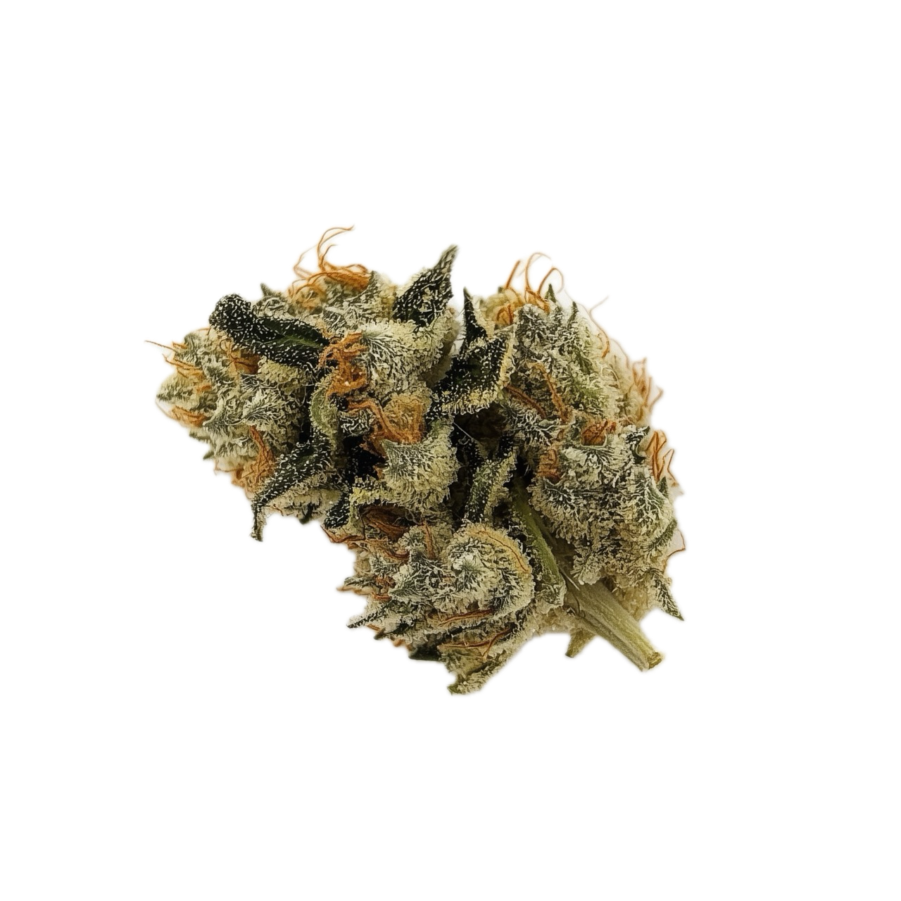 Cannamedical Sativa Classic 22/1 AU “VenomZ Eve”