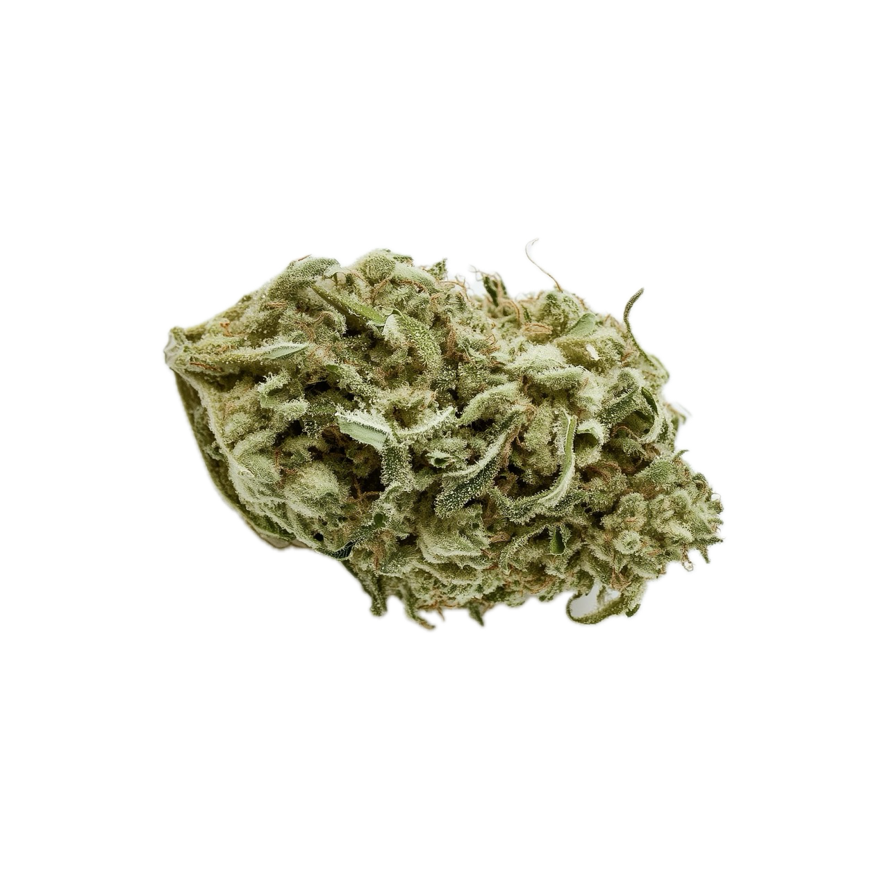 420 Natural 16/1 TRP "Tropicana Cookies"