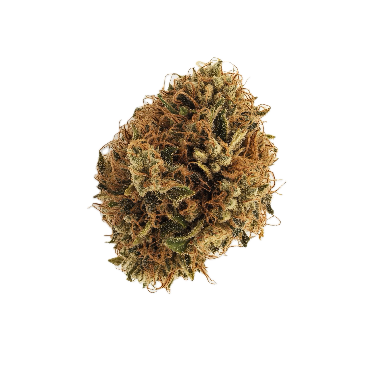 420 Sungrown 22/1 ZRP "Zour Apple"