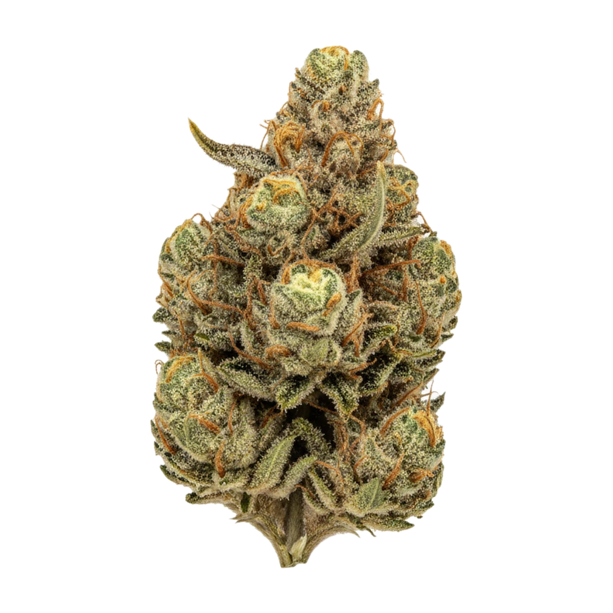 KI-generierte Illustration einer Cannabisblüte, zeigt nicht die tatsächliche Charge – Peace Naturals GC "GMO Cookies"
