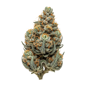 Pedanios 20/1 GTH "Ghost Train Haze"