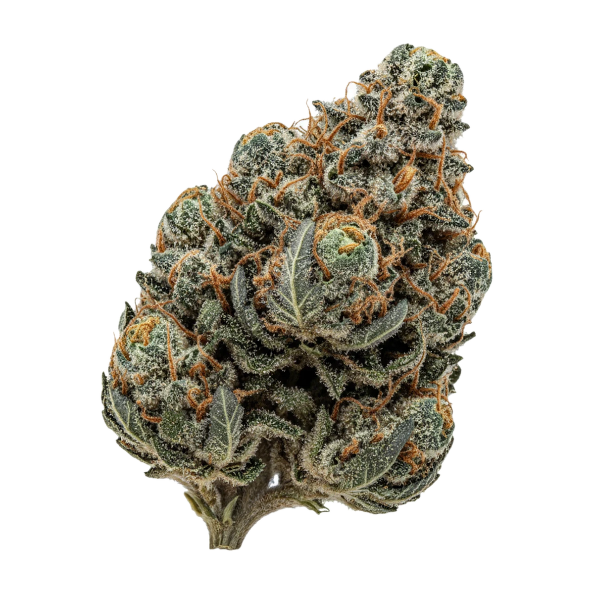 KI-generierte Illustration einer Cannabisblüte, zeigt nicht die tatsächliche Charge – Pedanios 27/1 FRG-CA "Farm Gas"
