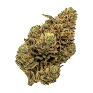 Pedanios 28/1 CMK-CA "Chemango Kush"