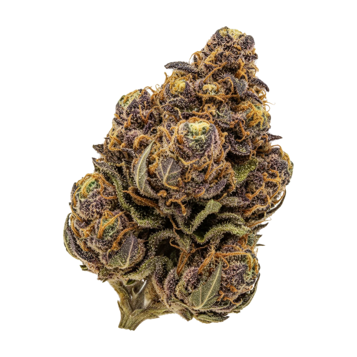 KI-generierte Illustration einer Cannabisblüte, zeigt nicht die tatsächliche Charge – Pedanios 31/1 COS-CA "Cosmic Cream"