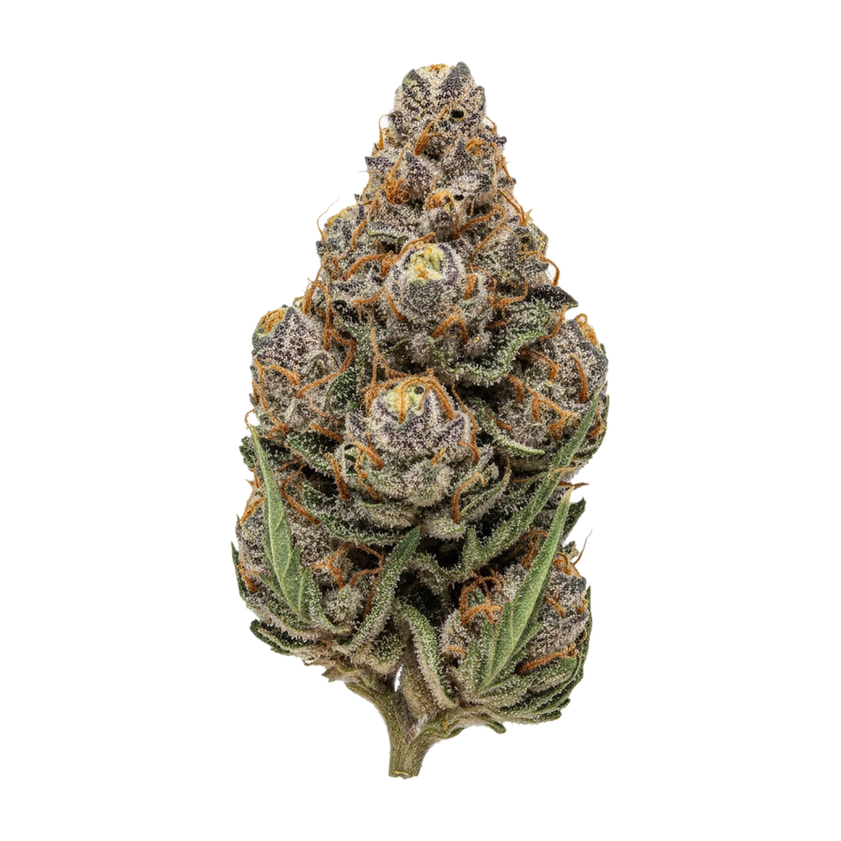 KI-generierte Illustration einer Cannabisblüte, zeigt nicht die tatsächliche Charge – Remexian BPD "Big Purple Dragon"