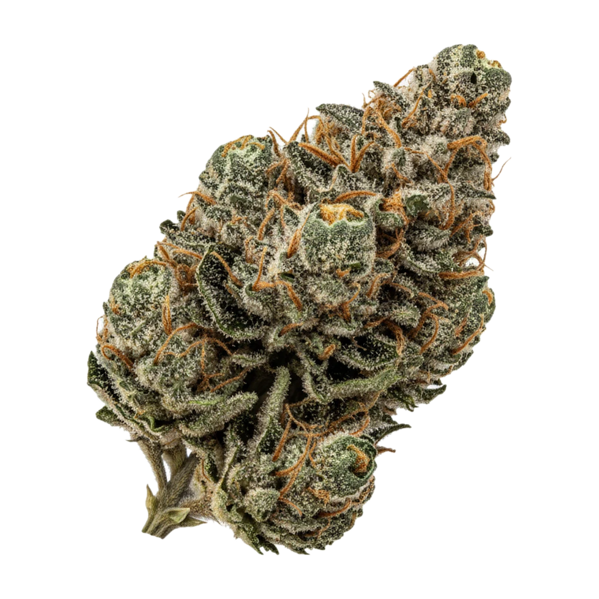 KI-generierte Illustration einer Cannabisblüte, zeigt nicht die tatsächliche Charge – Remexian 30/1 CGA "Creamy Gas"