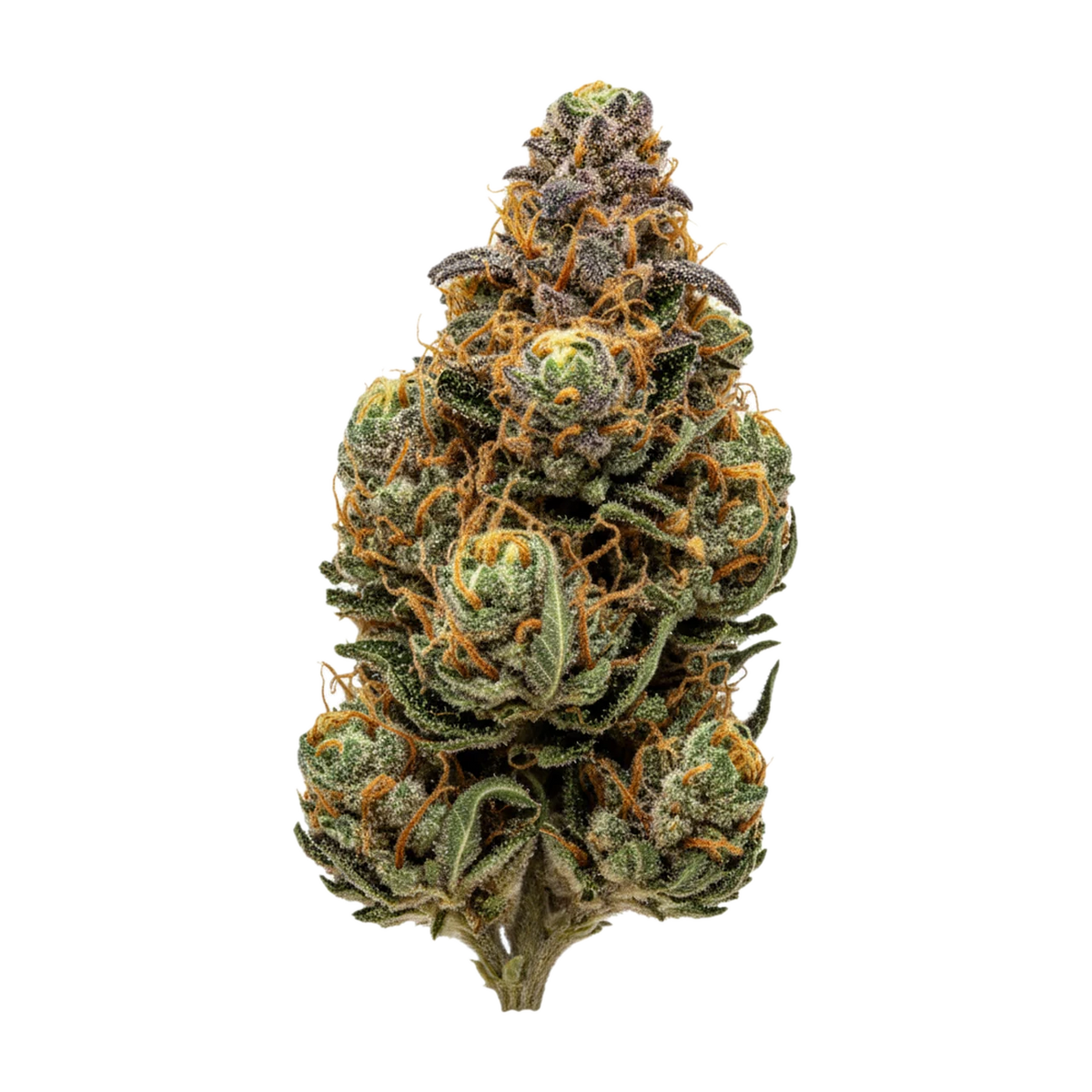 KI-generierte Illustration einer Cannabisblüte, zeigt nicht die tatsächliche Charge – Remexian WTF 18/1 SCD "Sour Cherry Diesel"
