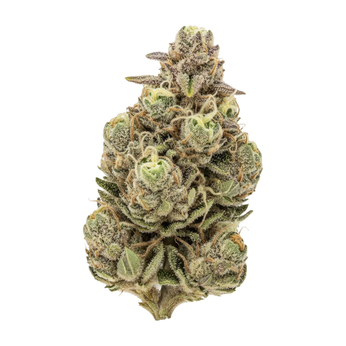 KI-generierte Illustration einer Cannabisblüte, zeigt nicht die tatsächliche Charge – Hi Society 27/1 MIM "Mimosa"
