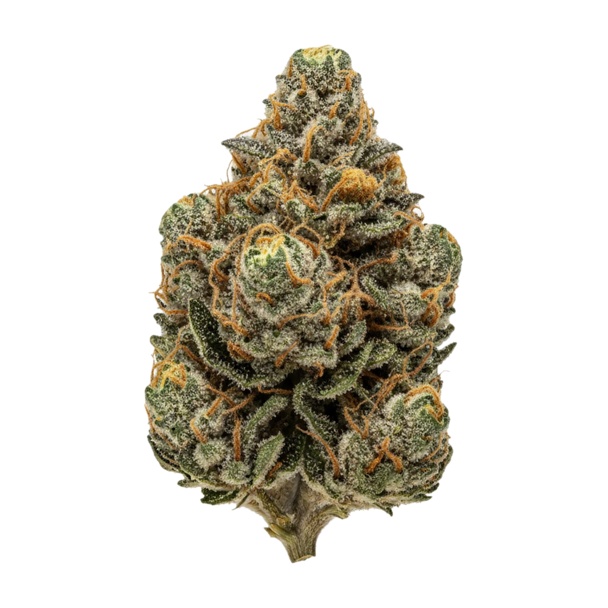 KI-generierte Illustration einer Cannabisblüte, zeigt nicht die tatsächliche Charge – slouu PS3 OGK "OG Kush"