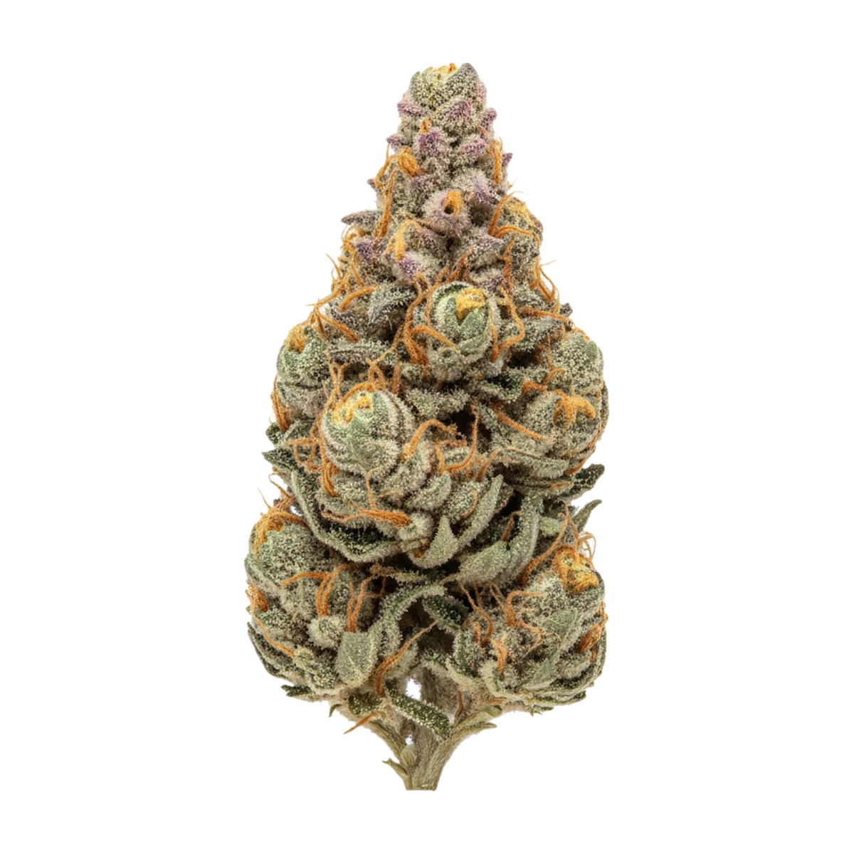 KI-generierte Illustration einer Cannabisblüte, zeigt nicht die tatsächliche Charge – slouu 22/1 SCH "Sour Crush Haze"