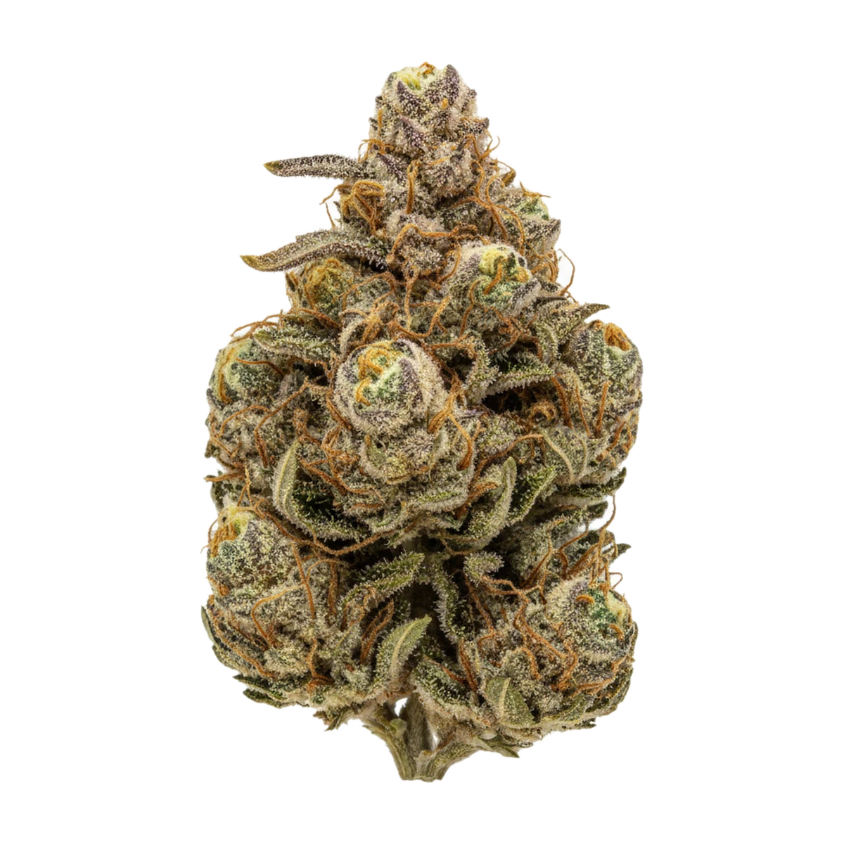KI-generierte Illustration einer Cannabisblüte, zeigt nicht die tatsächliche Charge – slouu 27/1 OMJ "OZ Melon Jam"