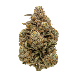 slouu 27/1 OMJ "OZ Melon Jam"