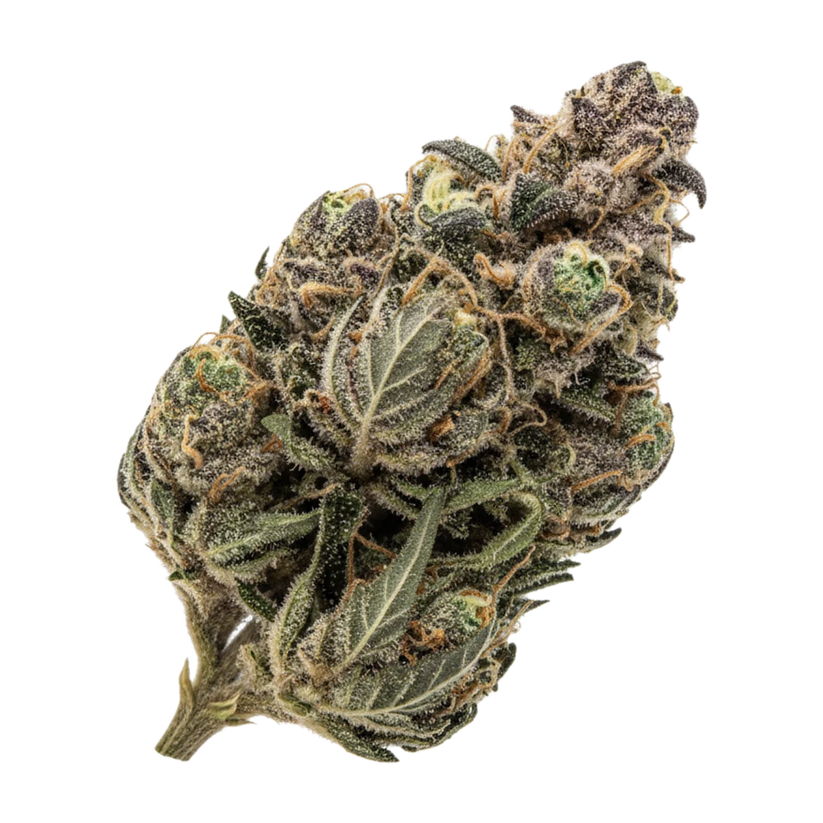 KI-generierte Illustration einer Cannabisblüte, zeigt nicht die tatsächliche Charge – slouu 27/1 SBS "Sugar Berry Sorbet"