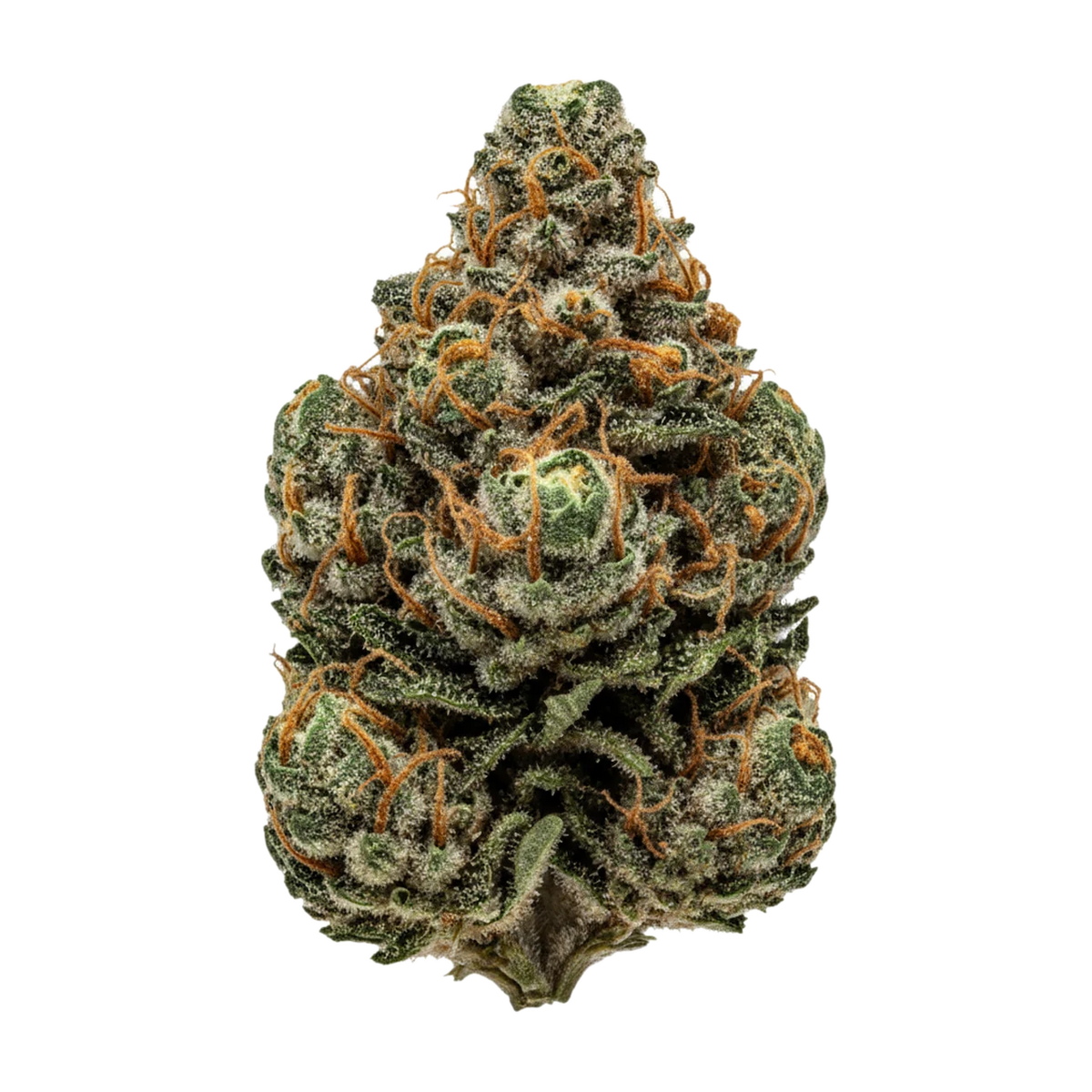 KI-generierte Illustration einer Cannabisblüte, zeigt nicht die tatsächliche Charge – Sumo PAB 25/1 "Papaya Bomb"
