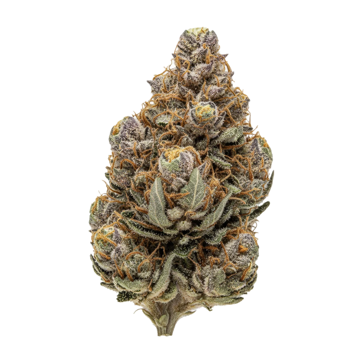 KI-generierte Illustration einer Cannabisblüte, zeigt nicht die tatsächliche Charge – SUNDAZE 27/1 VBV "Vector Berry Voltage"