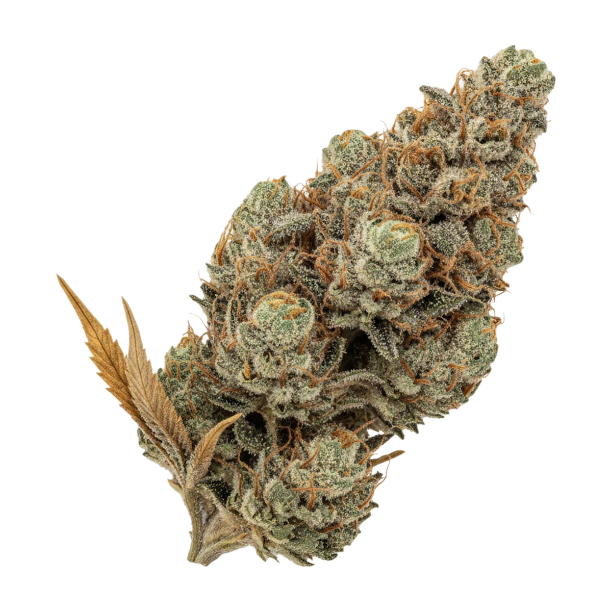 KI-generierte Illustration einer Cannabisblüte, zeigt nicht die tatsächliche Charge – THC Akut FB 25/1 KM "Kush Mintz"