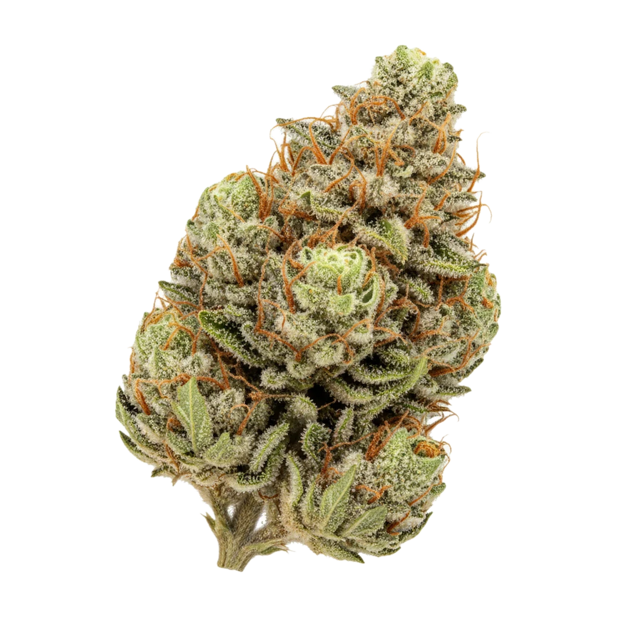 KI-generierte Illustration einer Cannabisblüte, zeigt nicht die tatsächliche Charge – Trust Holdings LH 29/1 "Liberty Haze"