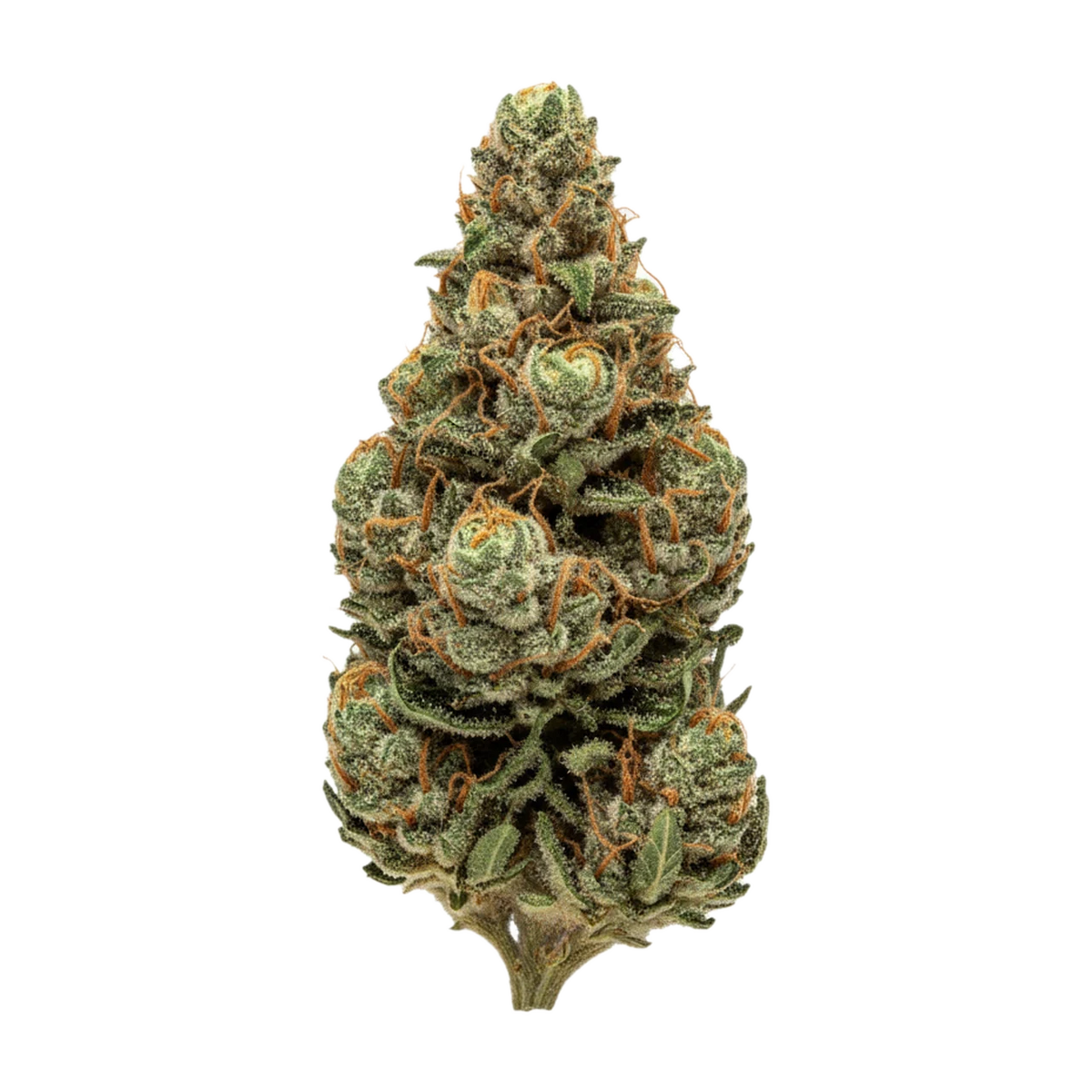 KI-generierte Illustration einer Cannabisblüte, zeigt nicht die tatsächliche Charge – TRUU GT "Crumbled Lime"