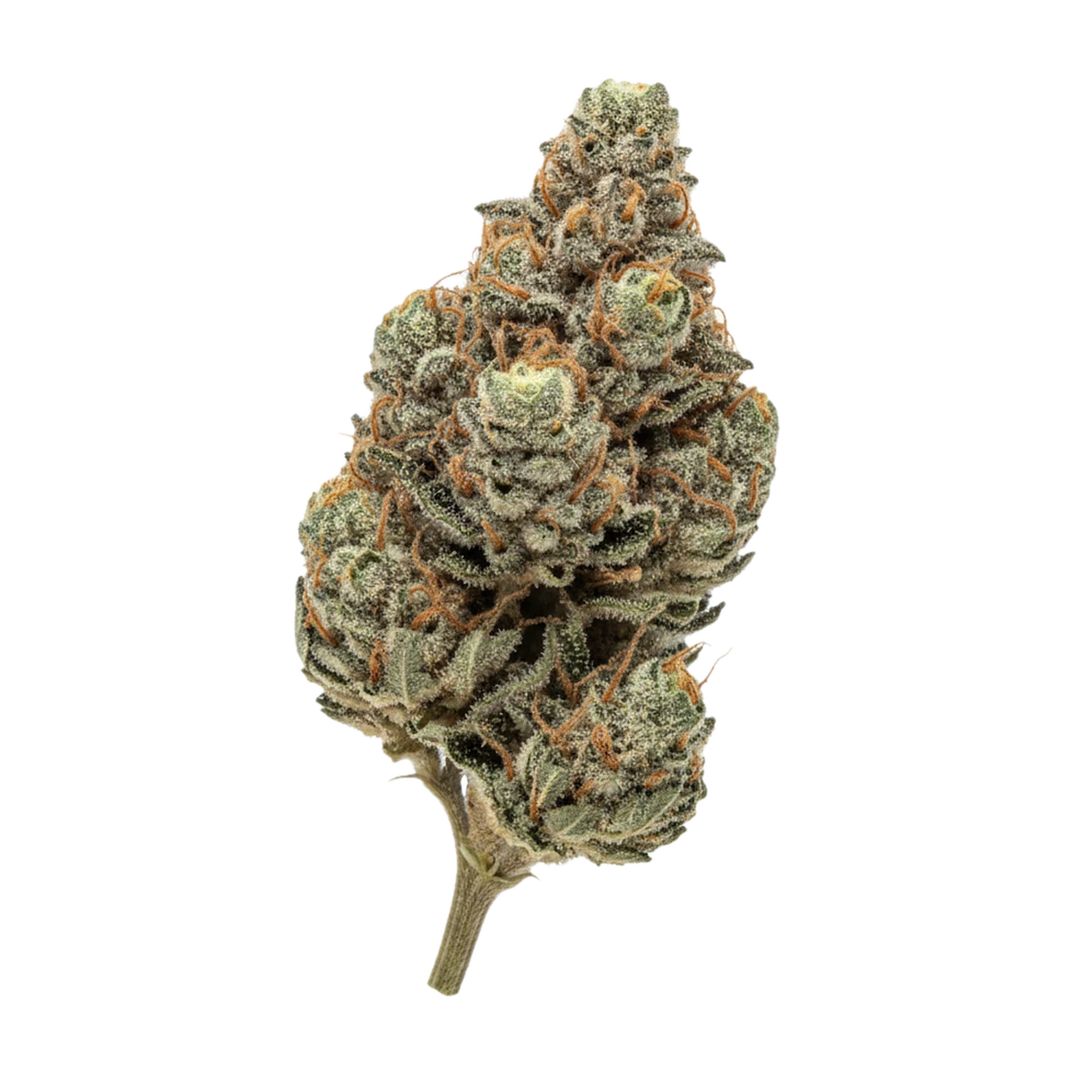 KI-generierte Illustration einer Cannabisblüte, zeigt nicht die tatsächliche Charge – TRUU GT 27/1 "Skull Cap"
