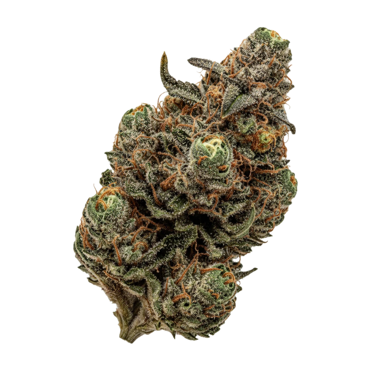 KI-generierte Illustration einer Cannabisblüte, zeigt nicht die tatsächliche Charge – TRUU GT "Cookies OG"