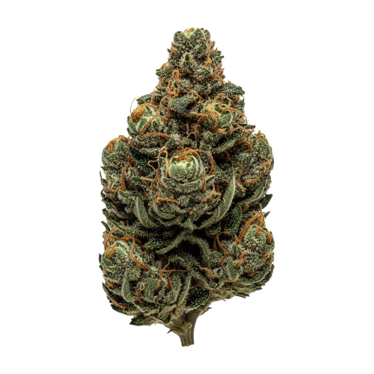 KI-generierte Illustration einer Cannabisblüte, zeigt nicht die tatsächliche Charge – TRUU HS 21/1 "Mandarin Sunset"