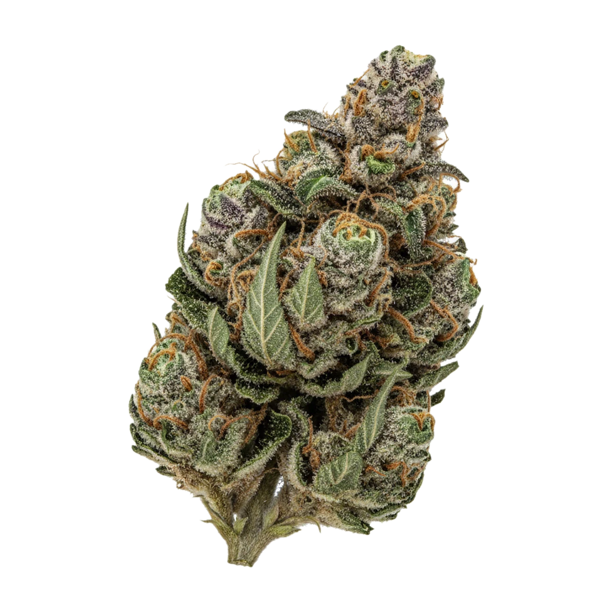 KI-generierte Illustration einer Cannabisblüte, zeigt nicht die tatsächliche Charge – Treatz 29/1 SZ "Sticky Zkittlez"