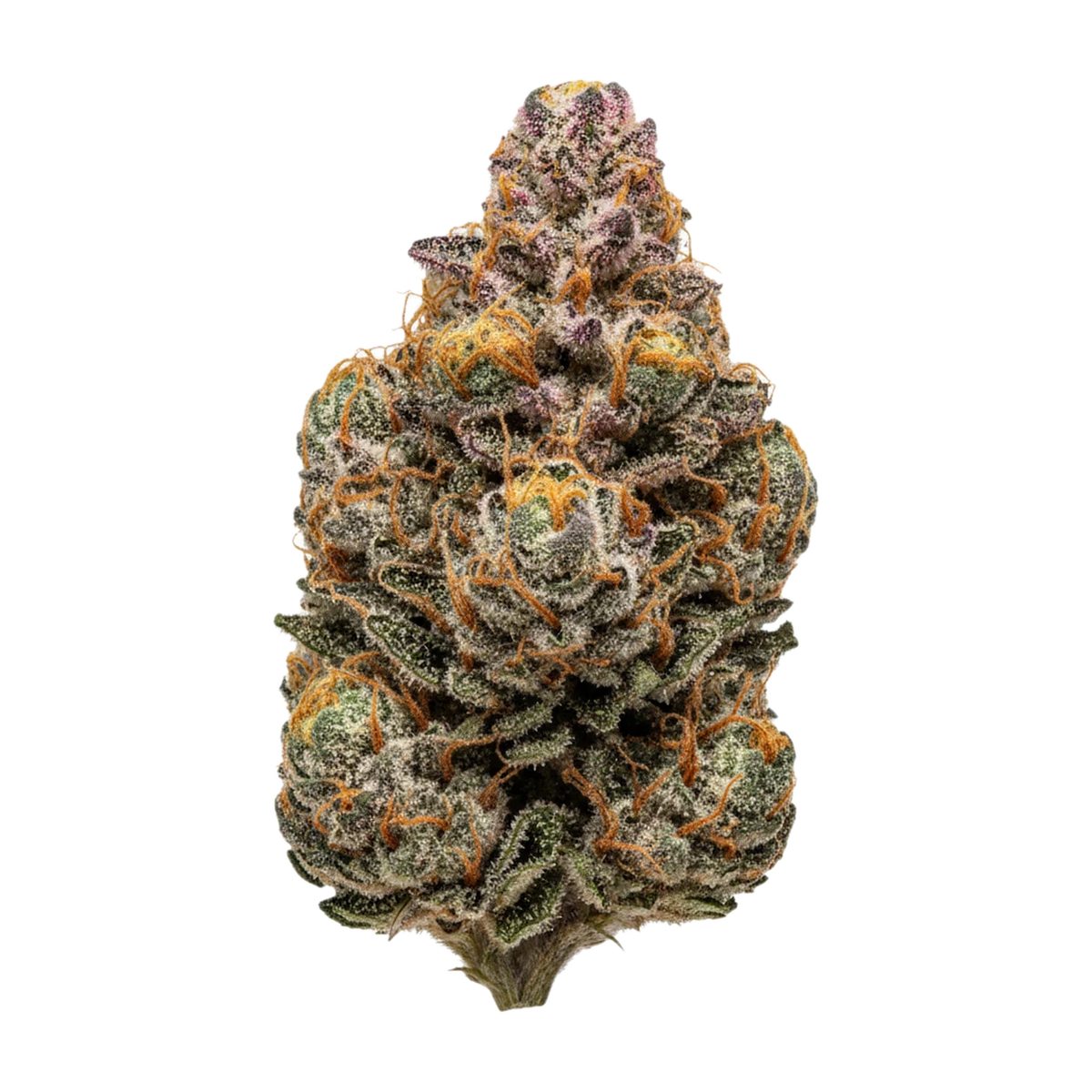 KI-generierte Illustration einer Cannabisblüte, zeigt nicht die tatsächliche Charge – UPSTATE 26/1 FB "Frosted Boof"