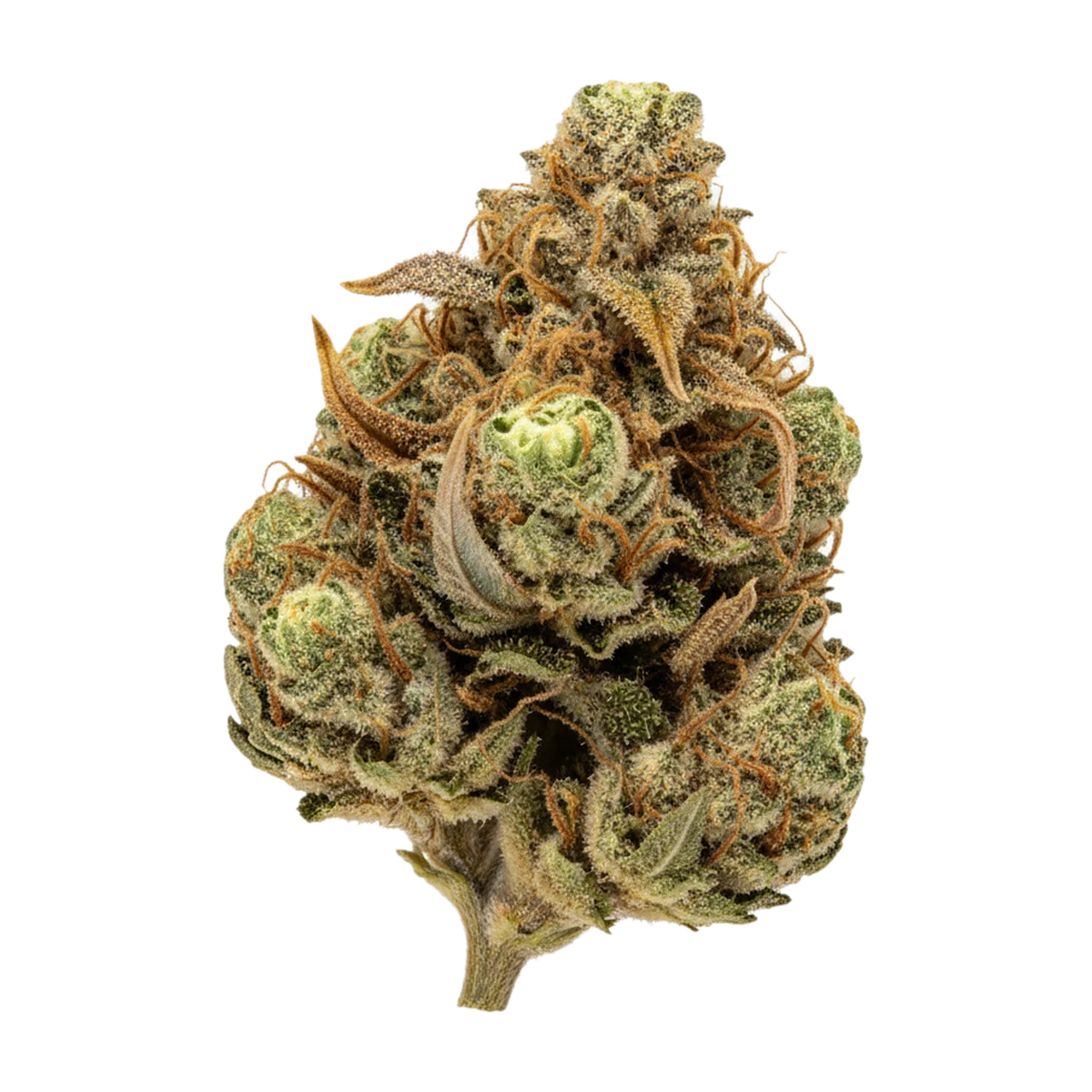 KI-generierte Illustration einer Cannabisblüte, zeigt nicht die tatsächliche Charge – avaay Signature 23/1 ARC "Apple Rock Candy"