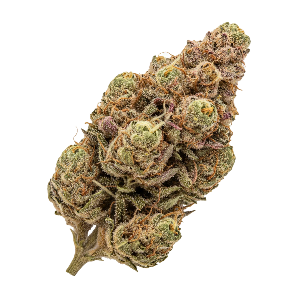 KI-generierte Illustration einer Cannabisblüte, zeigt nicht die tatsächliche Charge – Hi Society 27/1 MIM "Mimosa"