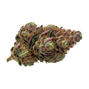 UPSTATE 28/1 GMZ "GMO Skittlez"