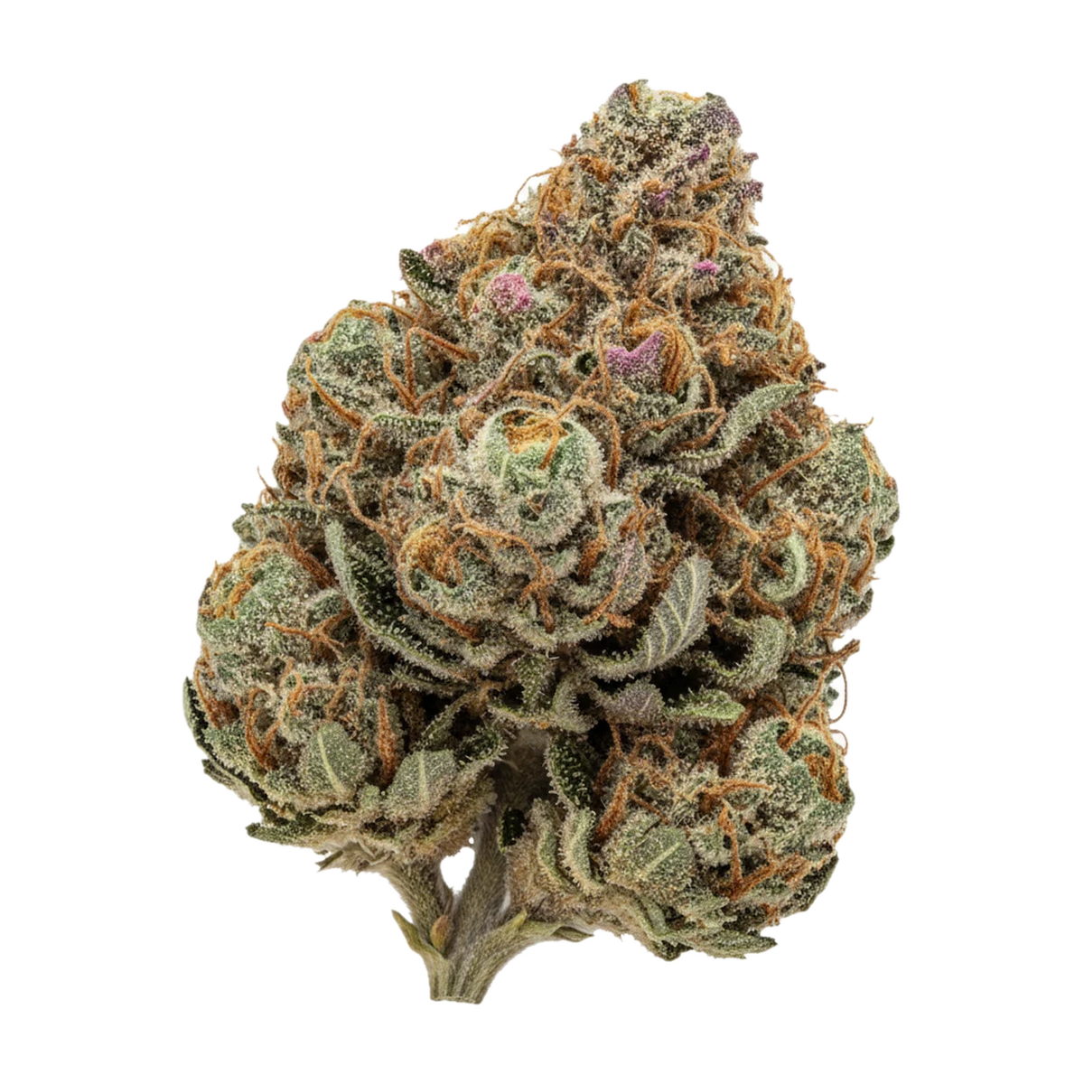 KI-generierte Illustration einer Cannabisblüte, zeigt nicht die tatsächliche Charge – UPSTATE 28/1 MP "Melon Pounder"