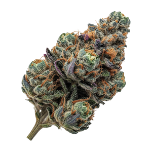 Cannamedical Sativa Classic DK 18/1 "Super Lemon Haze"
