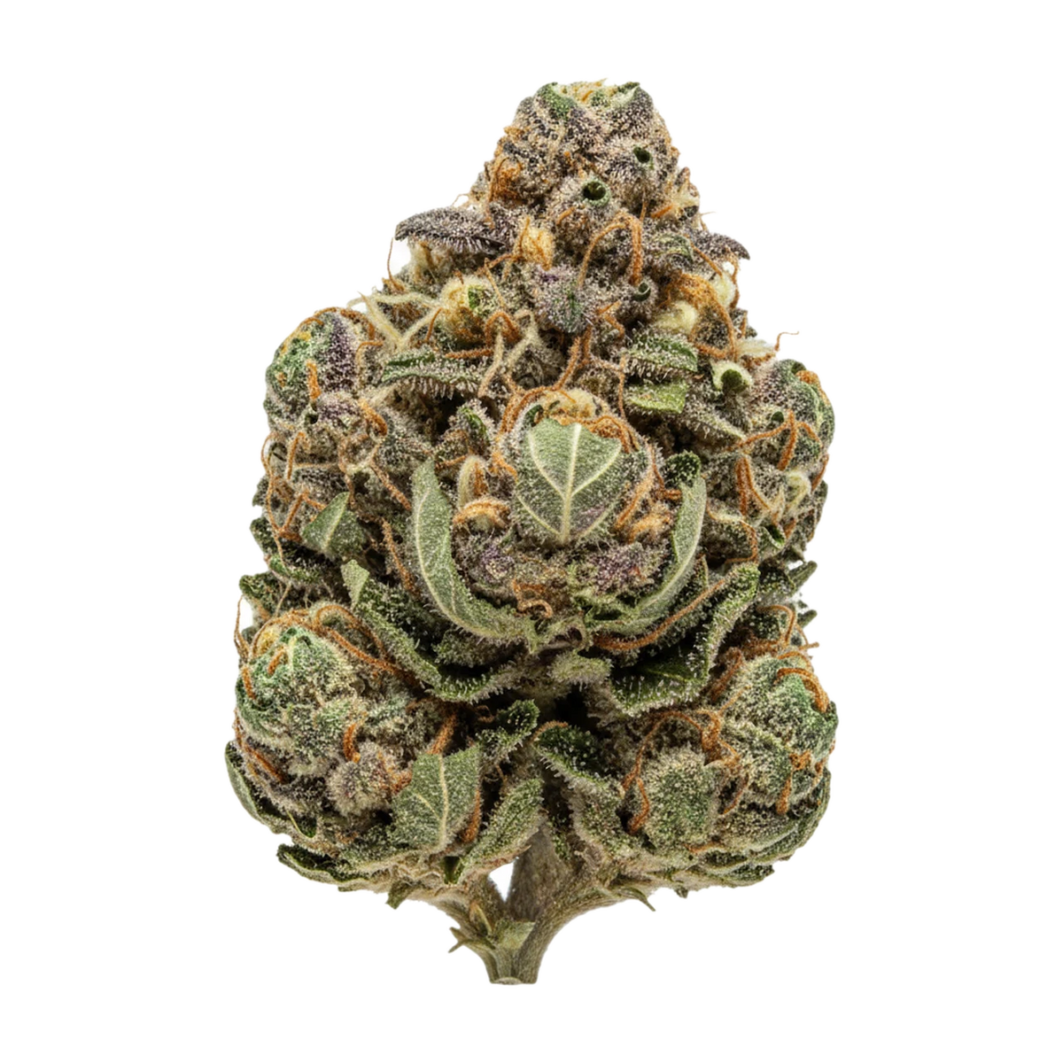 KI-generierte Illustration einer Cannabisblüte, zeigt nicht die tatsächliche Charge – UPSTATE 29/1 C5 "Category 5"