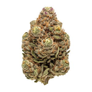 UPSTATE 30/1 GZ "Garlic Skittlez"