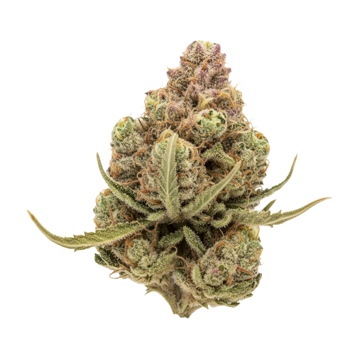 KI-generierte Illustration einer Cannabisblüte, zeigt nicht die tatsächliche Charge – slouu 25/1 FPG "Frosted Platinum Girl"