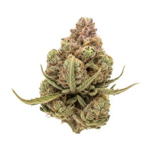 slouu 25/1 FPG "Frosted Platinum Girl"