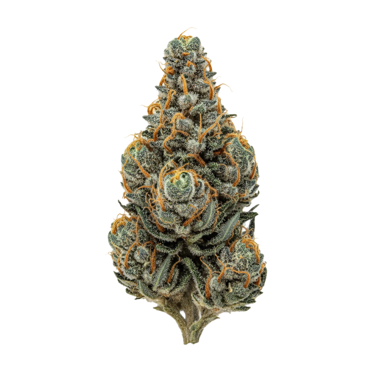 KI-generierte Illustration einer Cannabisblüte, zeigt nicht die tatsächliche Charge – Vayamed 22/1 "Ghost Train Haze"