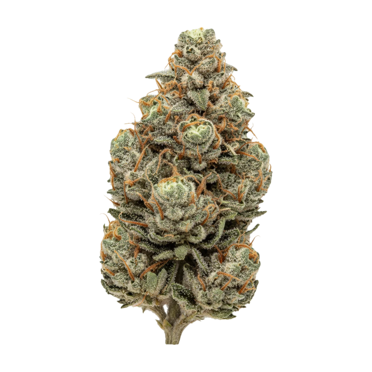 KI-generierte Illustration einer Cannabisblüte, zeigt nicht die tatsächliche Charge – ZOIKS 26/1 MOT "Motorgas"