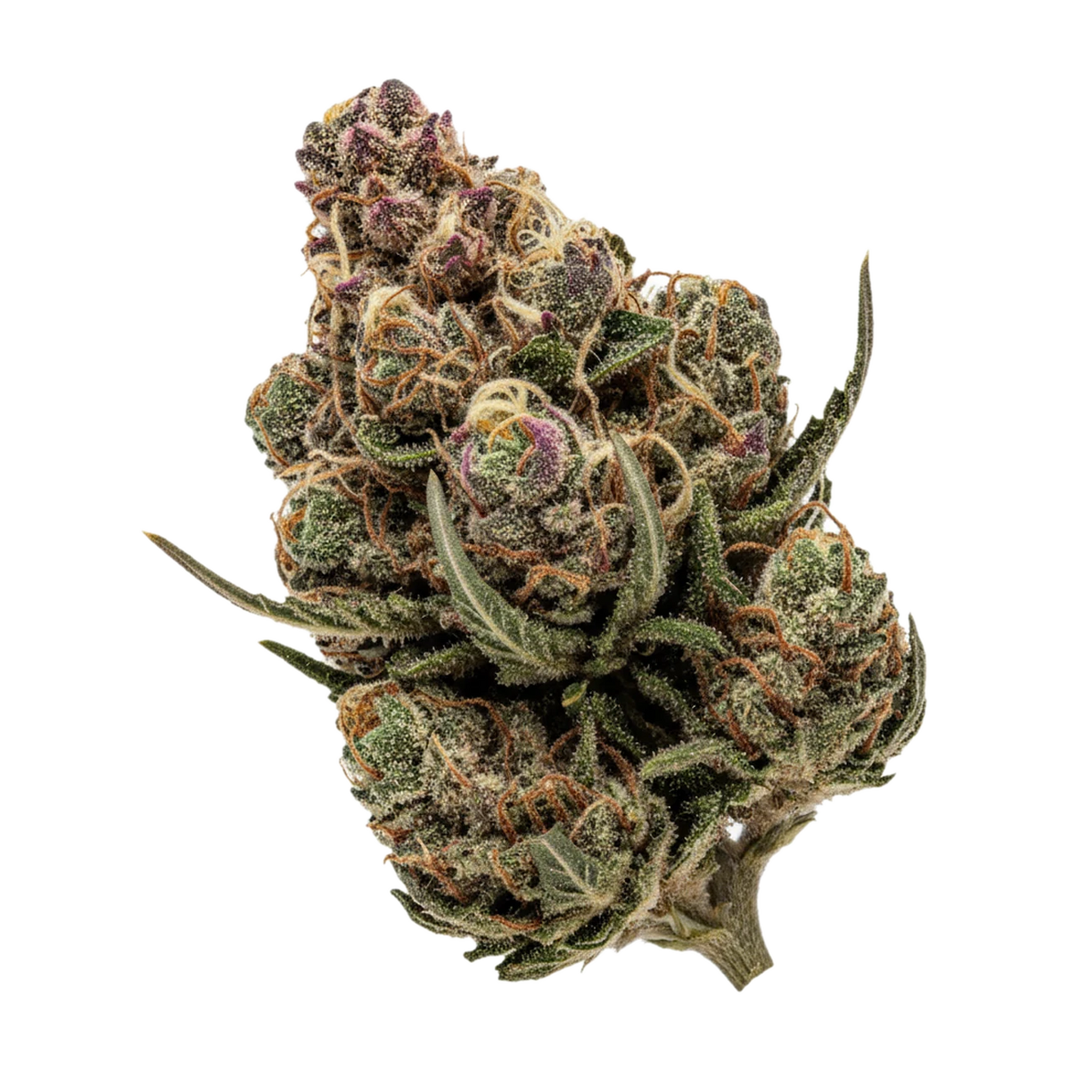 KI-generierte Illustration einer Cannabisblüte, zeigt nicht die tatsächliche Charge – ZOIKS 31/1 MN "Moonlight Nectar"